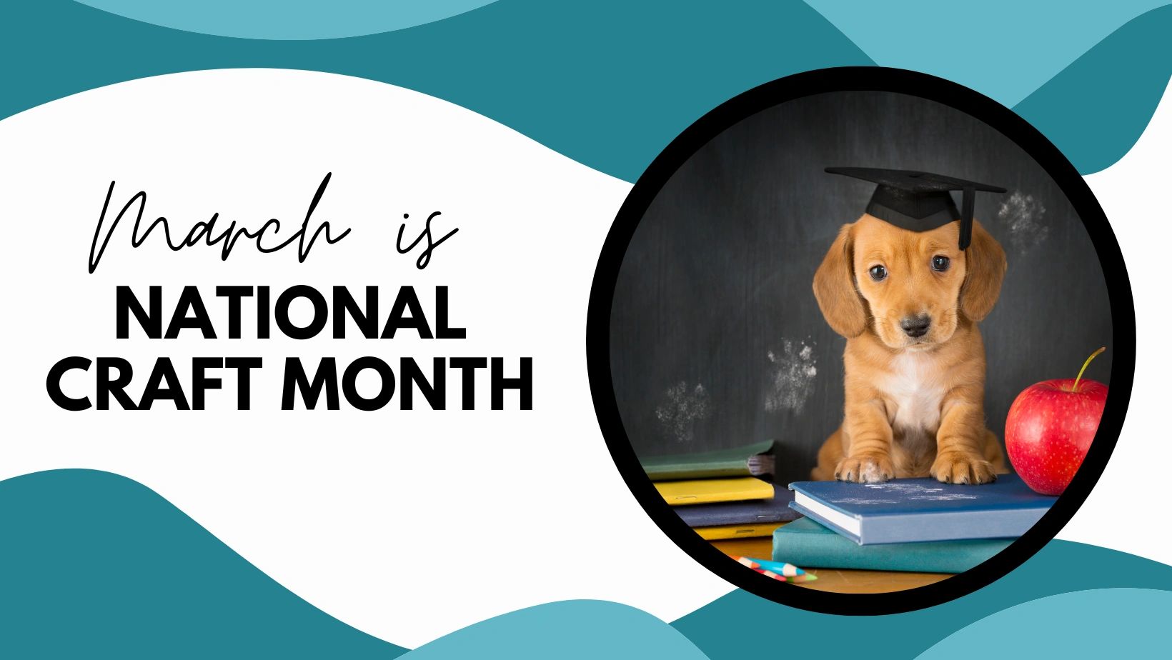 The Downtown Paw Dog Daycare & Grooming Malden, Massachusetts